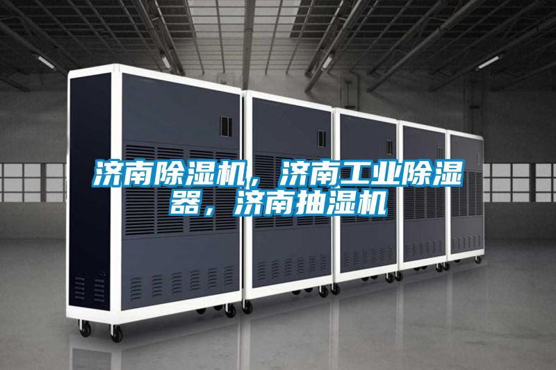 濟南除濕機，濟南工業(yè)除濕器，濟南抽濕機
