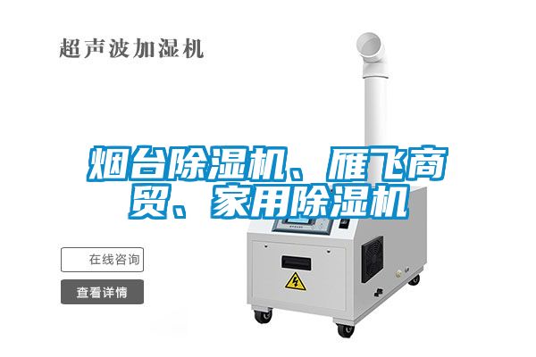 煙臺除濕機、雁飛商貿(mào)、家用除濕機