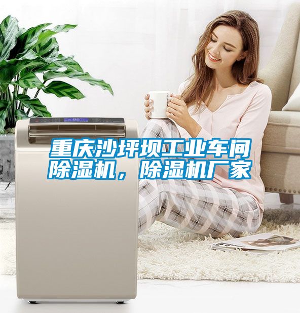 重慶沙坪壩工業(yè)車間除濕機(jī)，除濕機(jī)廠家