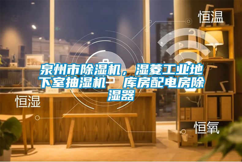 泉州市除濕機，濕菱工業(yè)地下室抽濕機  庫房配電房除濕器