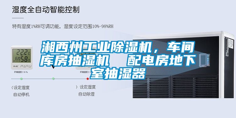 湘西州工業(yè)除濕機(jī)，車(chē)間庫(kù)房抽濕機(jī)  配電房地下室抽濕器