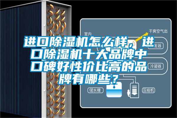 進(jìn)口除濕機(jī)怎么樣，進(jìn)口除濕機(jī)十大品牌中口碑好性價(jià)比高的品牌有哪些？