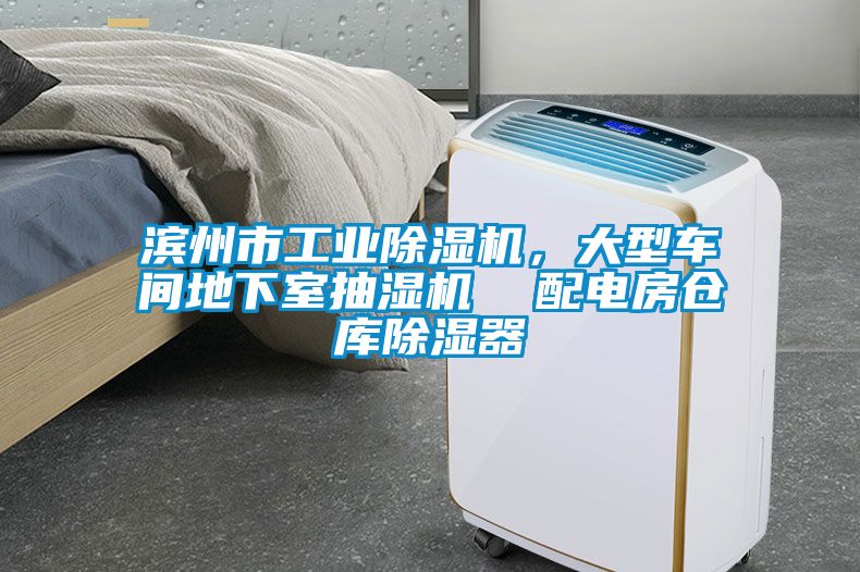 濱州市工業(yè)除濕機(jī)，大型車間地下室抽濕機(jī)  配電房倉庫除濕器