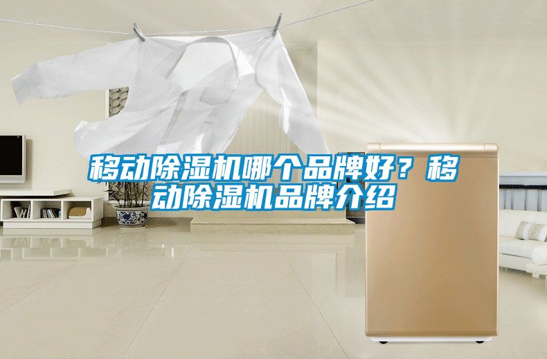 移動除濕機(jī)哪個品牌好？移動除濕機(jī)品牌介紹