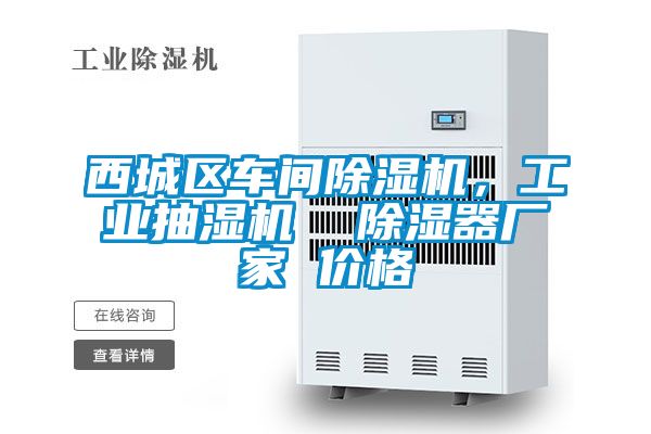 西城區(qū)車間除濕機(jī)，工業(yè)抽濕機(jī)  除濕器廠家 價(jià)格