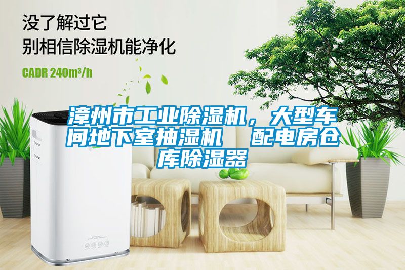 漳州市工業(yè)除濕機(jī)，大型車間地下室抽濕機(jī)  配電房倉庫除濕器