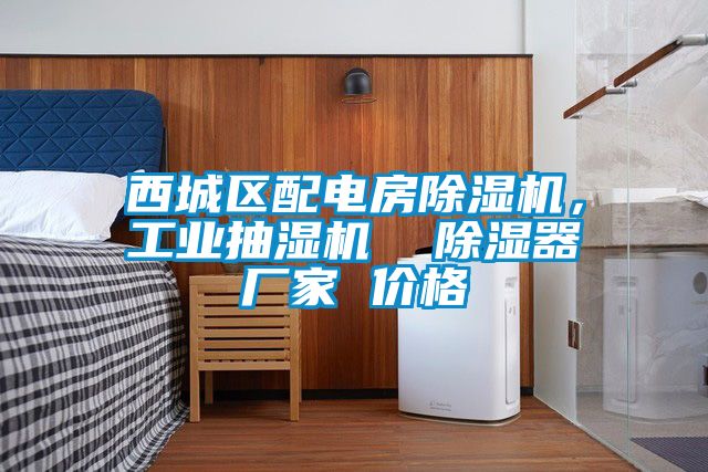 西城區(qū)配電房除濕機(jī)，工業(yè)抽濕機(jī)  除濕器廠家 價(jià)格