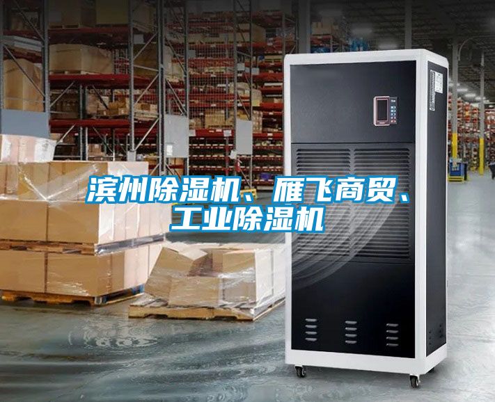 濱州除濕機(jī)、雁飛商貿(mào)、工業(yè)除濕機(jī)