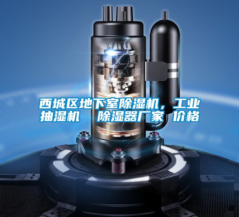 西城區(qū)地下室除濕機(jī)，工業(yè)抽濕機(jī)  除濕器廠家 價(jià)格