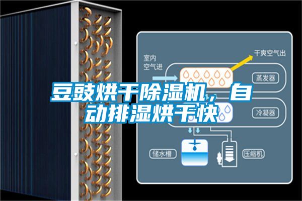 豆豉烘干除濕機(jī)，自動(dòng)排濕烘干快