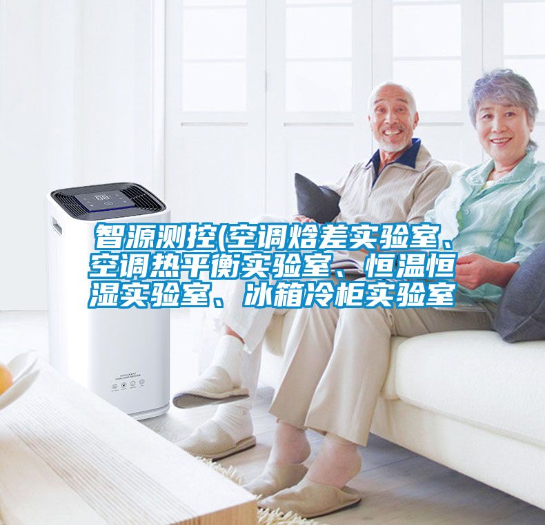 智源測(cè)控(空調(diào)焓差實(shí)驗(yàn)室、空調(diào)熱平衡實(shí)驗(yàn)室、恒溫恒濕實(shí)驗(yàn)室、冰箱冷柜實(shí)驗(yàn)室