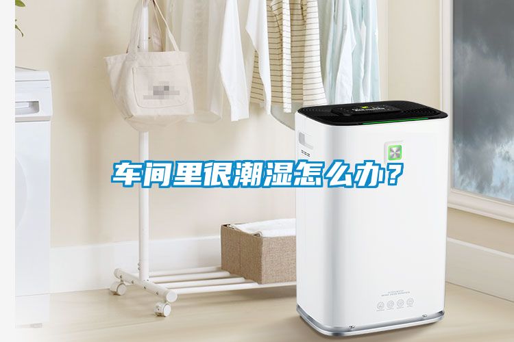 車間里很潮濕怎么辦？