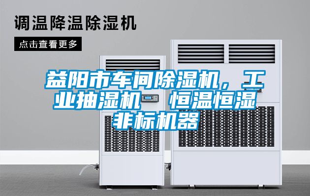 益陽(yáng)市車間除濕機(jī)，工業(yè)抽濕機(jī)  恒溫恒濕非標(biāo)機(jī)器