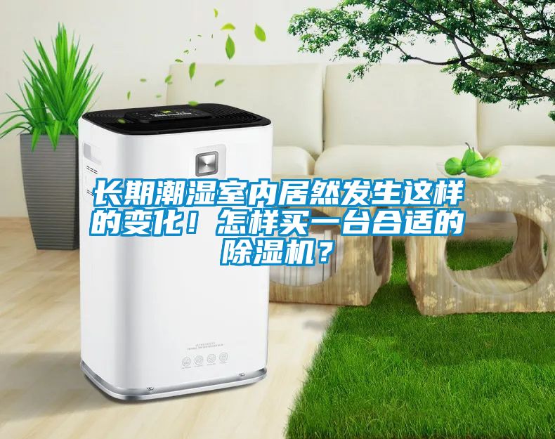 長(zhǎng)期潮濕室內(nèi)居然發(fā)生這樣的變化！怎樣買一臺(tái)合適的除濕機(jī)？