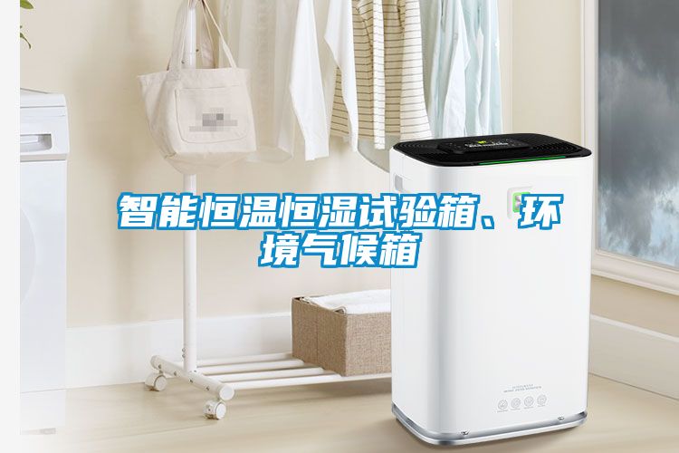 智能恒溫恒濕試驗箱、環(huán)境氣候箱