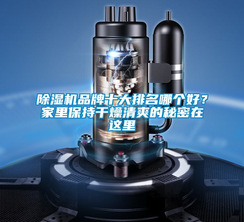 除濕機品牌十大排名哪個好？家里保持干燥清爽的秘密在這里