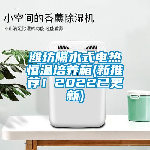 濰坊隔水式電熱恒溫培養(yǎng)箱(新推薦！2022已更新)