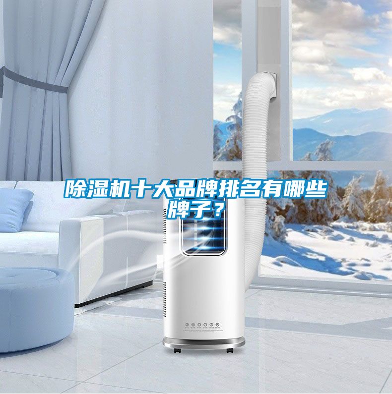 除濕機十大品牌排名有哪些牌子？