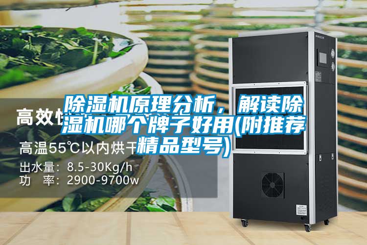 除濕機原理分析，解讀除濕機哪個牌子好用(附推薦精品型號)