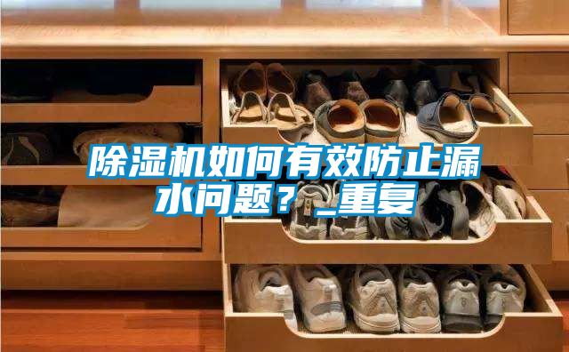 除濕機(jī)如何有效防止漏水問題？_重復(fù)