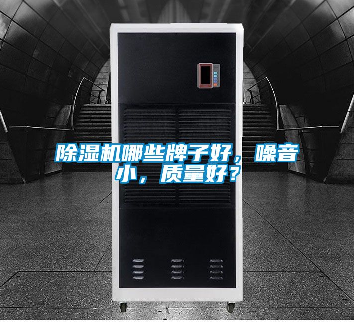 除濕機哪些牌子好，噪音小，質量好？