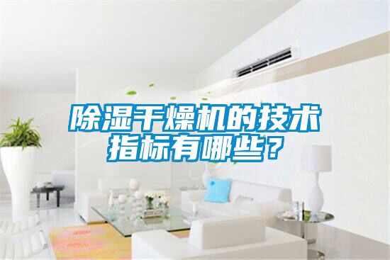 除濕干燥機(jī)的技術(shù)指標(biāo)有哪些？