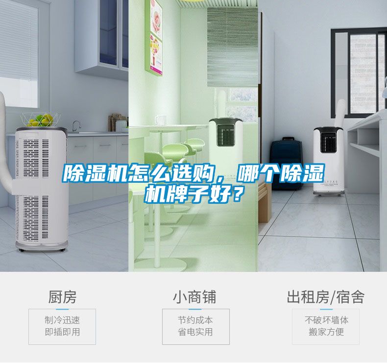 除濕機(jī)怎么選購，哪個(gè)除濕機(jī)牌子好？