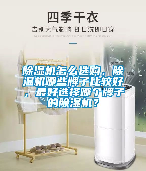 除濕機(jī)怎么選購，除濕機(jī)哪些牌子比較好，最好選擇哪個(gè)牌子的除濕機(jī)？