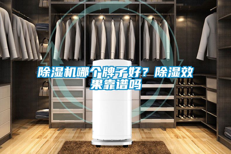 除濕機(jī)哪個(gè)牌子好？除濕效果靠譜嗎