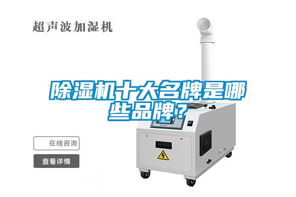 除濕機(jī)十大名牌是哪些品牌？