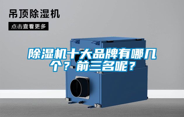 除濕機十大品牌有哪幾個？前三名呢？