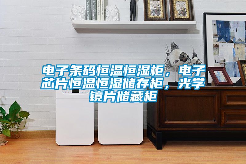 電子條碼恒溫恒濕柜，電子芯片恒溫恒濕儲(chǔ)存柜，光學(xué)鏡片儲(chǔ)藏柜