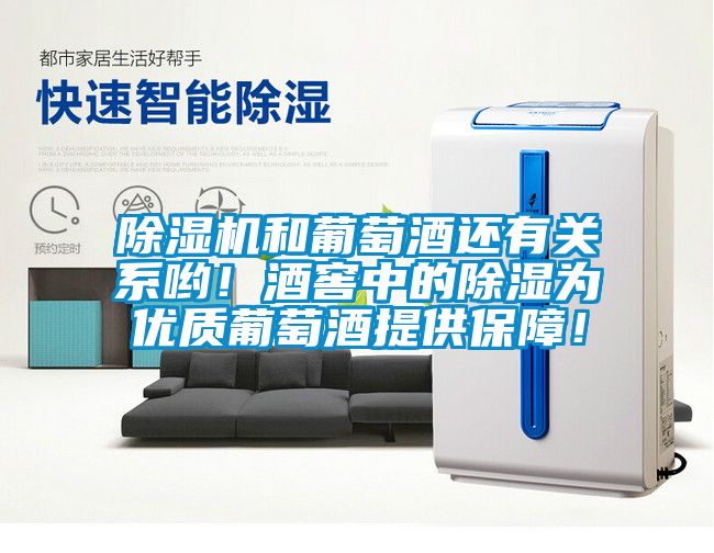除濕機(jī)和葡萄酒還有關(guān)系喲！酒窖中的除濕為優(yōu)質(zhì)葡萄酒提供保障！
