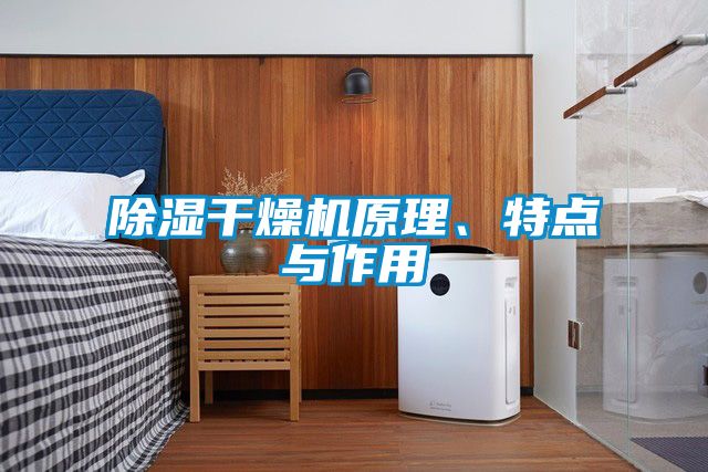除濕干燥機(jī)原理、特點(diǎn)與作用