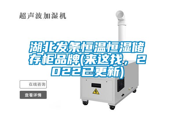 湖北發(fā)條恒溫恒濕儲存柜品牌(來這找，2022已更新)