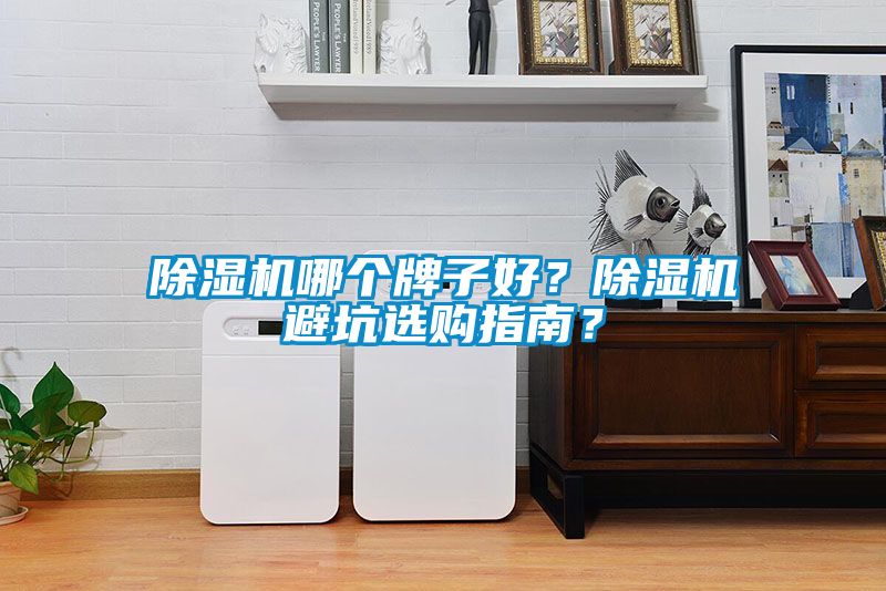除濕機哪個牌子好？除濕機避坑選購指南？
