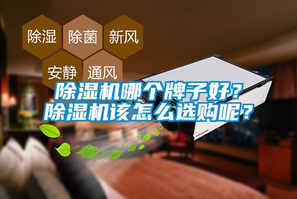 除濕機(jī)哪個(gè)牌子好？除濕機(jī)該怎么選購呢？