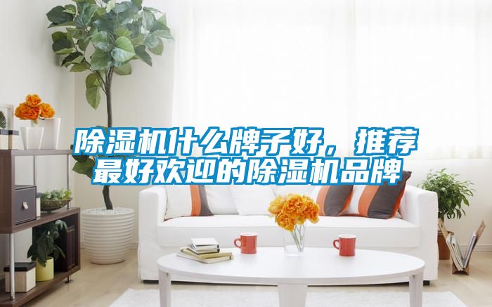 除濕機什么牌子好，推薦最好歡迎的除濕機品牌