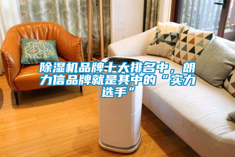除濕機(jī)品牌十大排名中，朗力信品牌就是其中的“實(shí)力選手”
