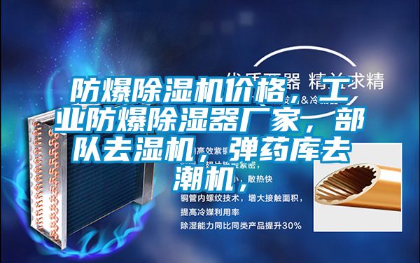 防爆除濕機價格，工業(yè)防爆除濕器廠家，部隊去濕機，彈藥庫去潮機，