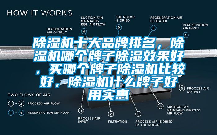 除濕機(jī)十大品牌排名，除濕機(jī)哪個(gè)牌子除濕效果好，買哪個(gè)牌子除濕機(jī)比較好，除濕機(jī)什么牌子好用實(shí)惠