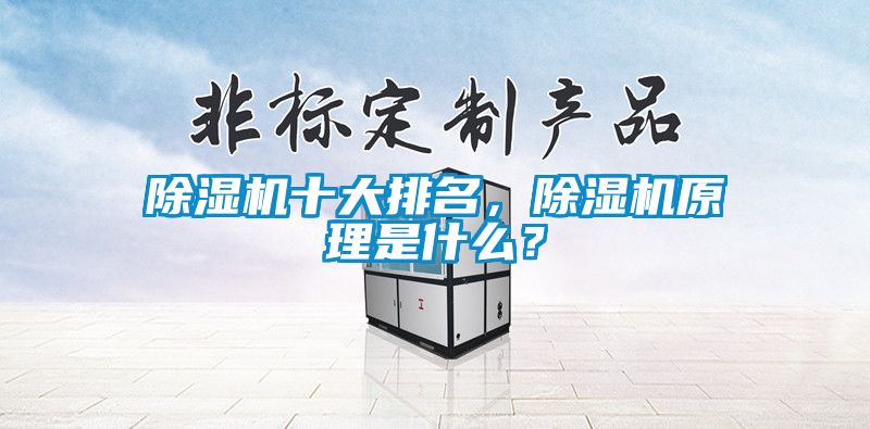 除濕機十大排名，除濕機原理是什么？