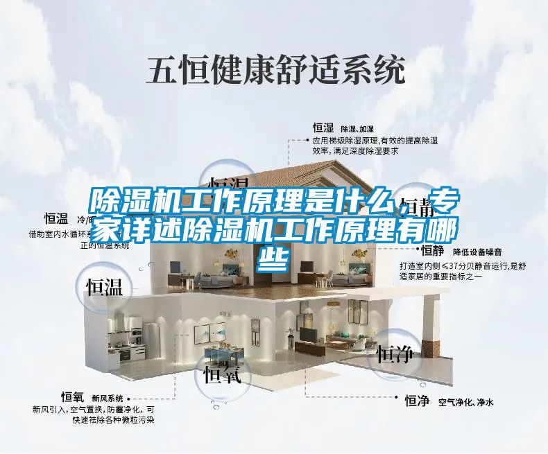 除濕機(jī)工作原理是什么，專家詳述除濕機(jī)工作原理有哪些