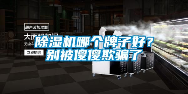 除濕機(jī)哪個牌子好？別被傻傻欺騙了