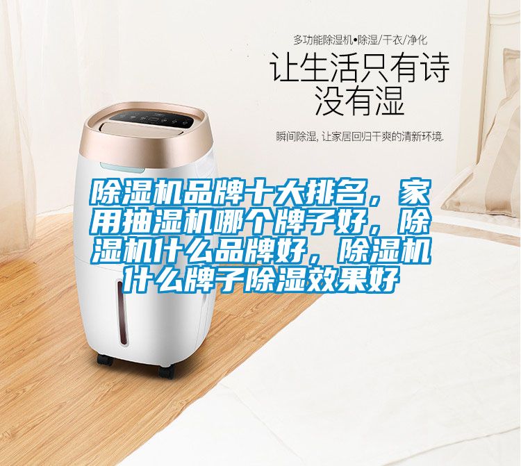 除濕機品牌十大排名，家用抽濕機哪個牌子好，除濕機什么品牌好，除濕機什么牌子除濕效果好