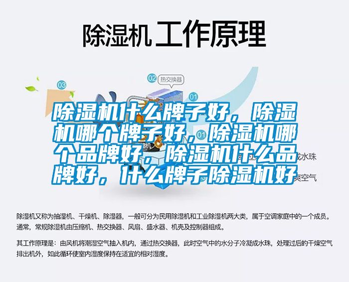 除濕機什么牌子好，除濕機哪個牌子好，除濕機哪個品牌好，除濕機什么品牌好，什么牌子除濕機好