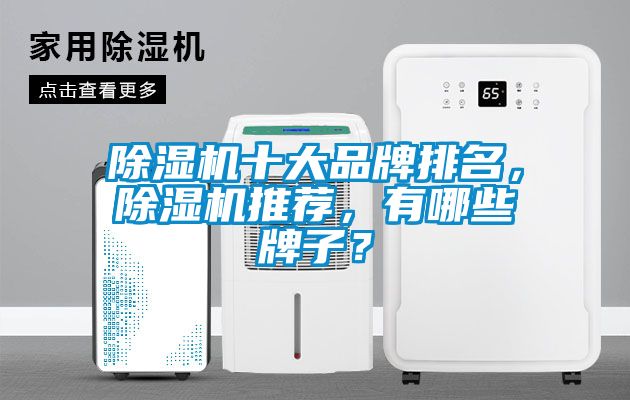 除濕機十大品牌排名，除濕機推薦，有哪些牌子？