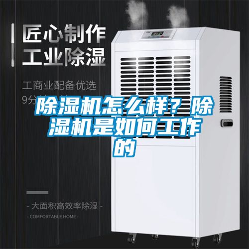 除濕機(jī)怎么樣？除濕機(jī)是如何工作的