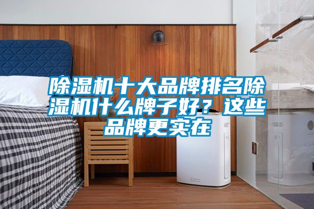 除濕機(jī)十大品牌排名除濕機(jī)什么牌子好？這些品牌更實(shí)在