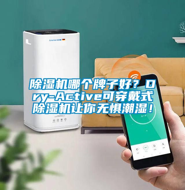 除濕機哪個牌子好？Dry-Active可穿戴式除濕機讓你無懼潮濕！